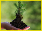 sustainable jobs