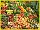 sustainable food