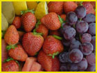 sustainable food