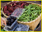 sustainable food